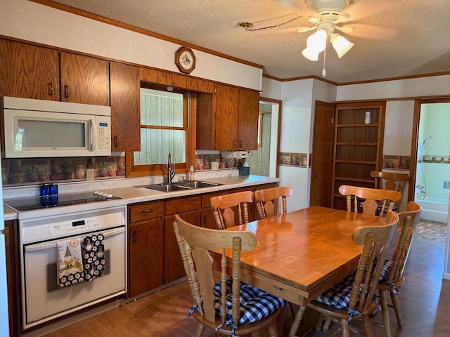 31449 State Highway 92 SE, Trail, MN 56684 - photo 9