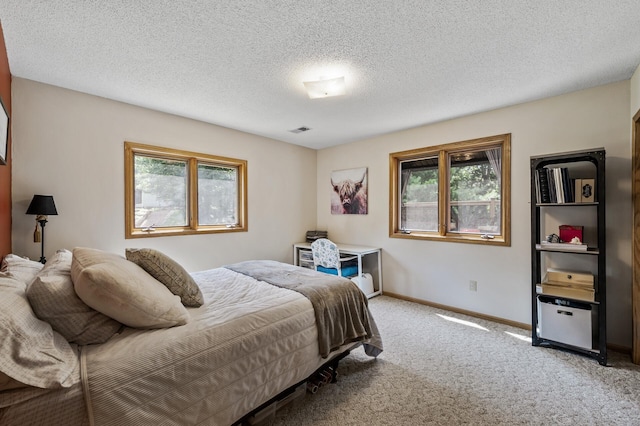 19396 Auburn St NW, Elk River, MN 55330 - photo 18