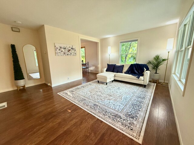 910 Tindolph Ave S, Thief River Falls, MN 56701 - photo 4
