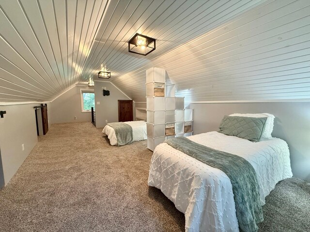 910 Tindolph Ave S, Thief River Falls, MN 56701 - photo 33