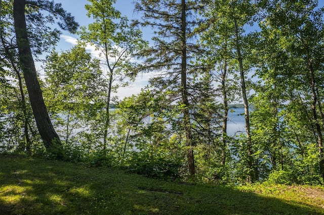 23546 Warbler Way Unit C1, Detroit Lakes, MN 56501 - water view