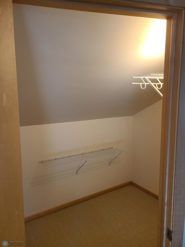 4394 46th Ave S Unit B, Fargo, ND 58104 - spacious closet featuring carpet flooring and vaulted ceiling