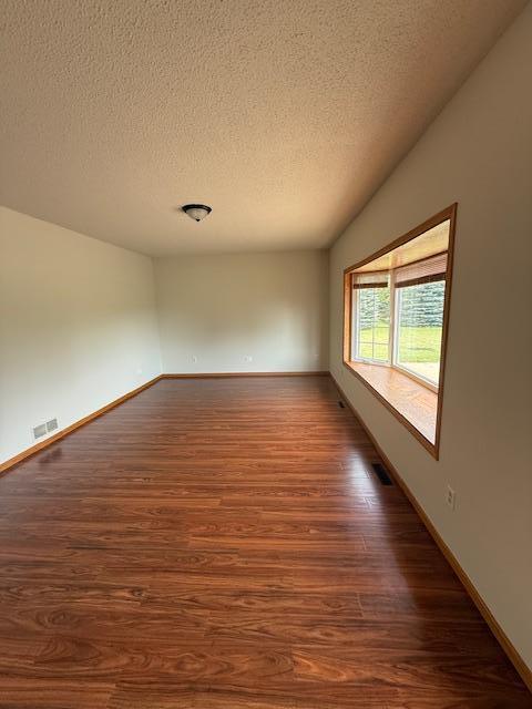 1355 Butterfly Ln, Spring Lake Twp, MN 55352 - empty room featuring a textured ceiling and dark wood-type flooring