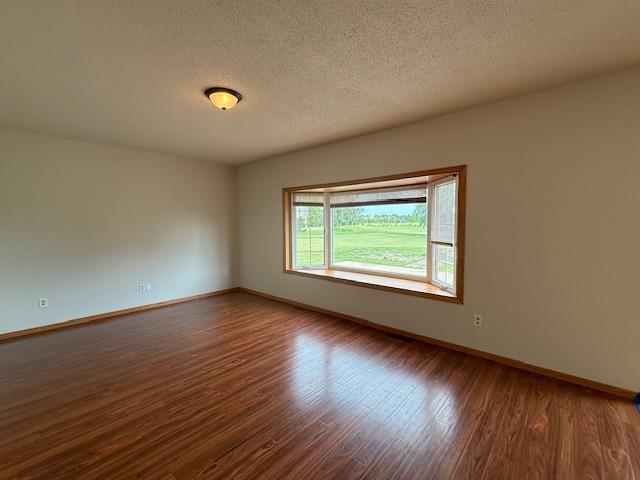 1355 Butterfly Ln, Spring Lake Twp, MN 55352 - spare room with wood finished floors and a textured ceiling