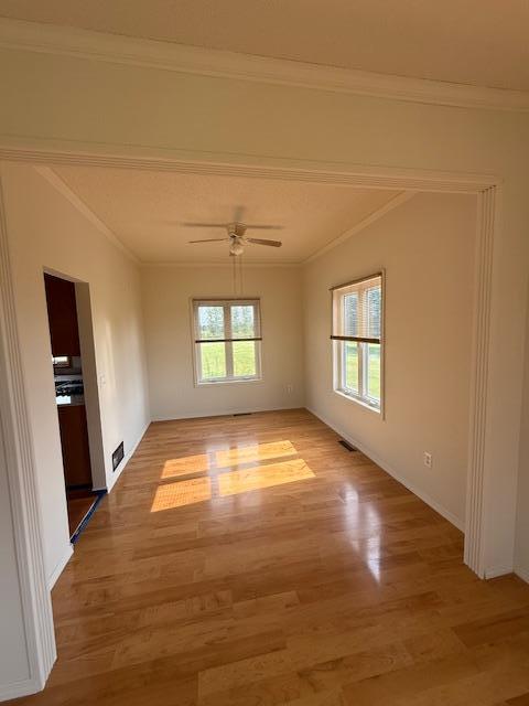 1355 Butterfly Ln, Spring Lake Twp, MN 55352 - empty room with light wood-style flooring, ornamental molding, and a ceiling fan