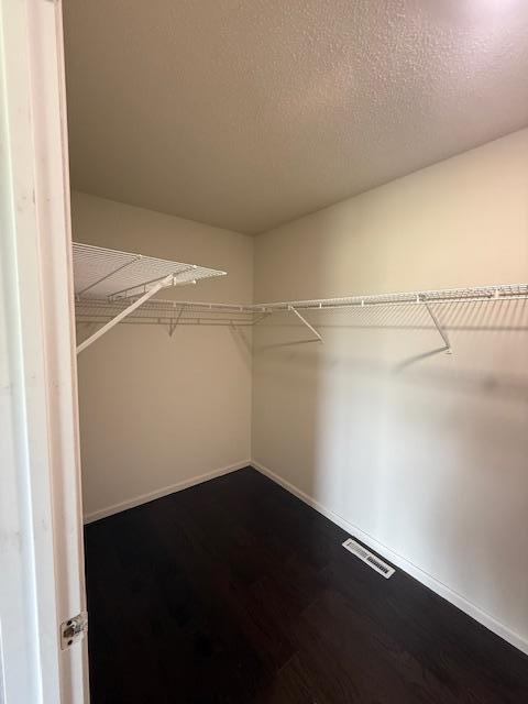 1355 Butterfly Ln, Spring Lake Twp, MN 55352 - spacious closet with dark wood-style flooring