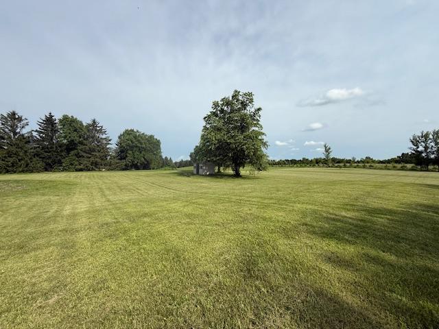 1355 Butterfly Ln, Spring Lake Twp, MN 55352 - view of grassy yard