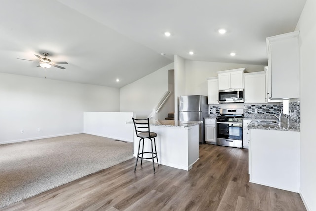39685 Fallbrook Ave, North Branch, MN 55056 - kitchen featuring stainless steel appliances, open floor plan, stone countertops, a ceiling fan, and vaulted ceiling