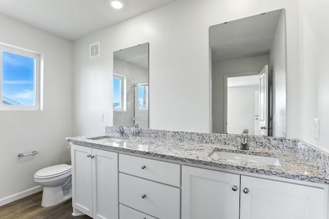 39685 Fallbrook Ave, North Branch, MN 55056 - bathroom featuring double vanity, wood finished floors, and a shower with shower door