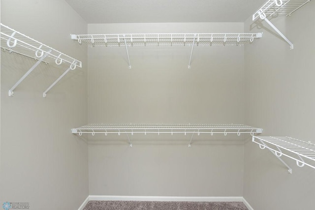 8037 Goldfinch Dr, Horace, ND 58047 - walk in closet with carpet flooring