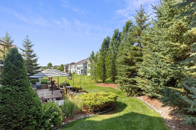 7499 Peony Ln N, Maple Grove, MN 55311 - photo 8