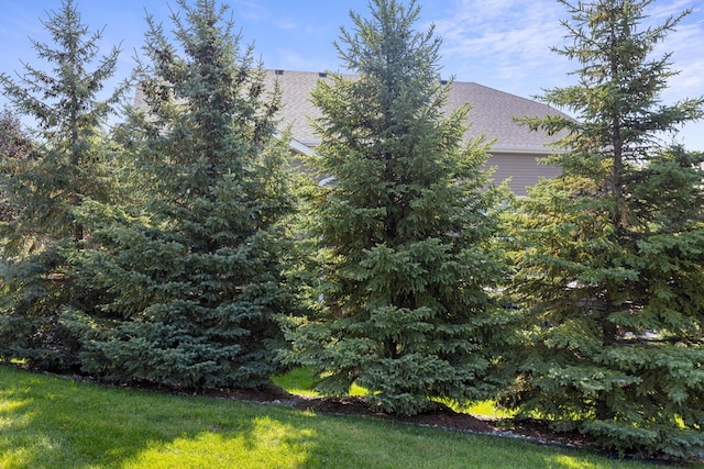7499 Peony Ln N, Maple Grove, MN 55311 - photo 18