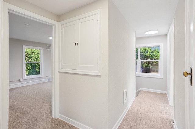 5912 Bartlett Blvd, Mound, MN 55364 - hallway with carpet floors and healthy amount of natural light