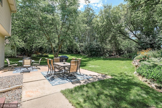 10069 Fox Run Rd, Woodbury, MN 55129 - photo 41
