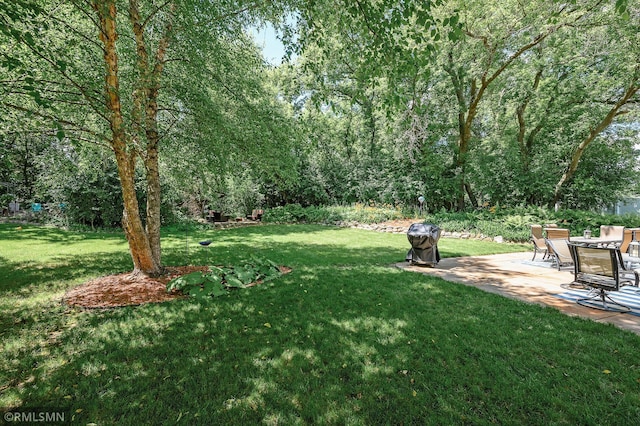 10069 Fox Run Rd, Woodbury, MN 55129 - photo 44