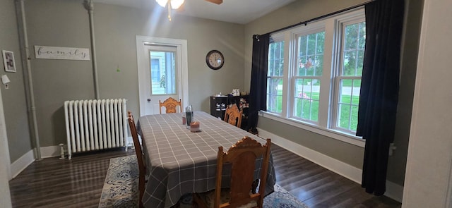 308 Fillmore St W, Preston, MN 55965 - photo 10