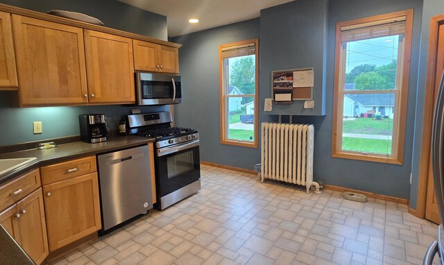308 Fillmore St W, Preston, MN 55965 - photo 11
