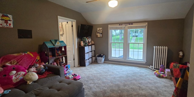 308 Fillmore St W, Preston, MN 55965 - photo 21