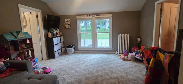 308 Fillmore St W, Preston, MN 55965 - photo 22