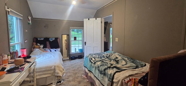 308 Fillmore St W, Preston, MN 55965 - photo 23