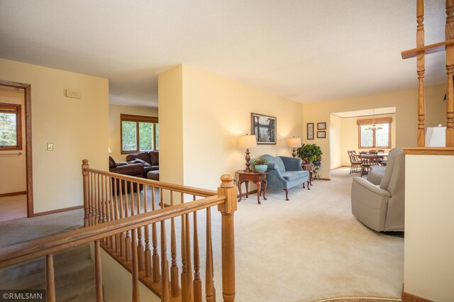 550 Eldo Ln SW, Alexandria, MN 56308 - photo 11