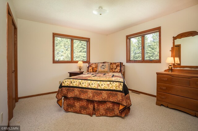 550 Eldo Ln SW, Alexandria, MN 56308 - photo 26