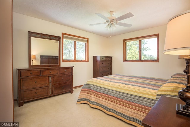 550 Eldo Ln SW, Alexandria, MN 56308 - photo 28