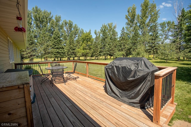 550 Eldo Ln SW, Alexandria, MN 56308 - photo 37
