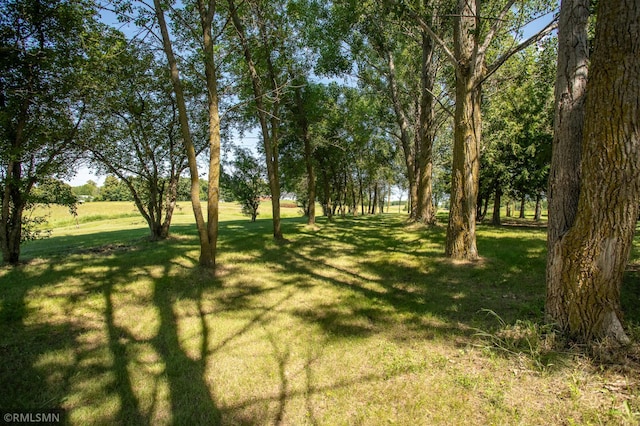 550 Eldo Ln SW, Alexandria, MN 56308 - photo 48