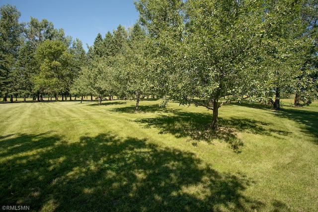 550 Eldo Ln SW, Alexandria, MN 56308 - photo 51