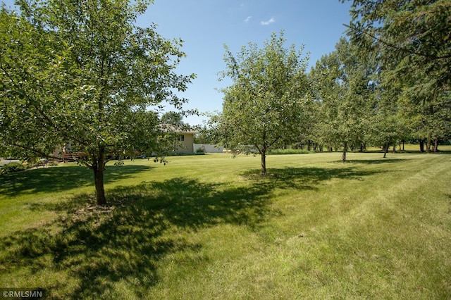 550 Eldo Ln SW, Alexandria, MN 56308 - photo 52