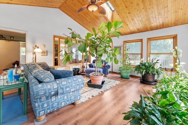 39665 8th Ave, North Branch, MN 55056 - living area featuring wooden ceiling, ceiling fan, lofted ceiling, and wood finished floors