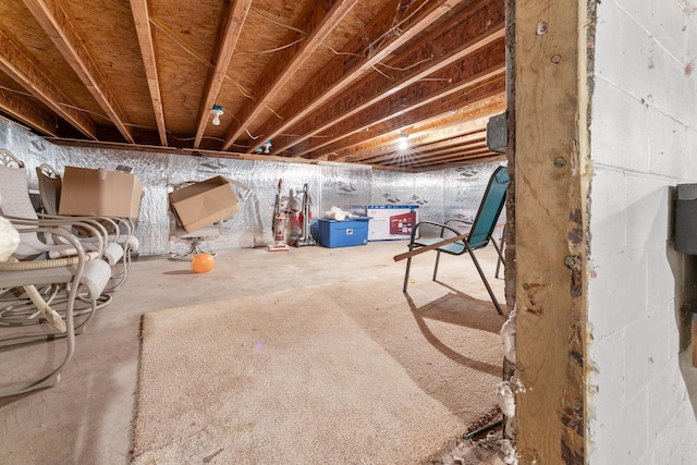 39665 8th Ave, North Branch, MN 55056 - view of unfinished below grade area