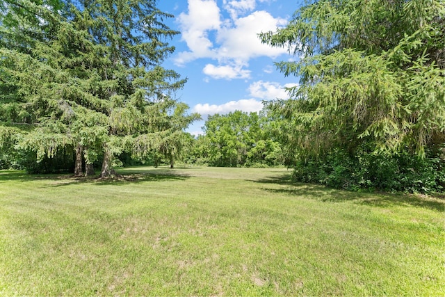 39665 8th Ave, North Branch, MN 55056 - view of grassy yard featuring a view of trees