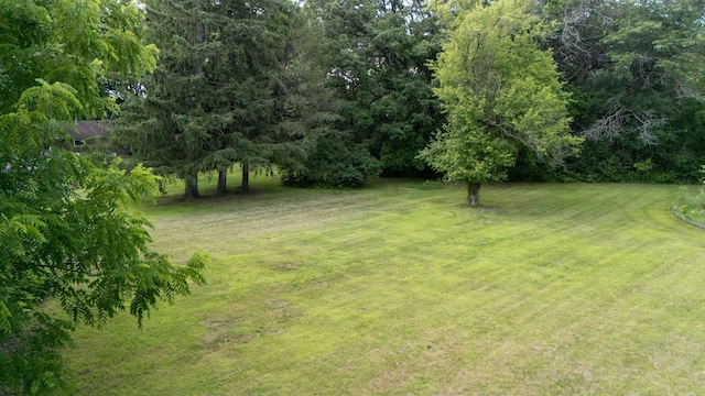 39665 8th Ave, North Branch, MN 55056 - view of green lawn