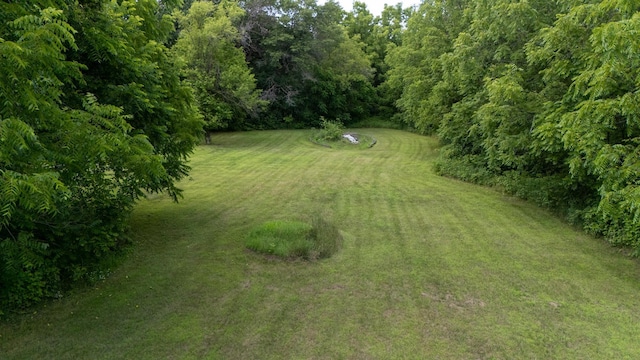 39665 8th Ave, North Branch, MN 55056 - view of green lawn with a forest view