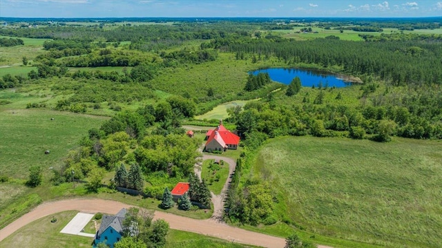 8825 Greeley Loop, Royalton Twp, MN 55006 - aerial view of a nearby body of water and a forest