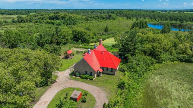 8825 Greeley Loop, Royalton Twp, MN 55006 - aerial view of a forest and a large body of water
