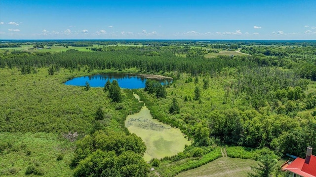 8825 Greeley Loop, Royalton Twp, MN 55006 - drone / aerial view of a large body of water and a forest