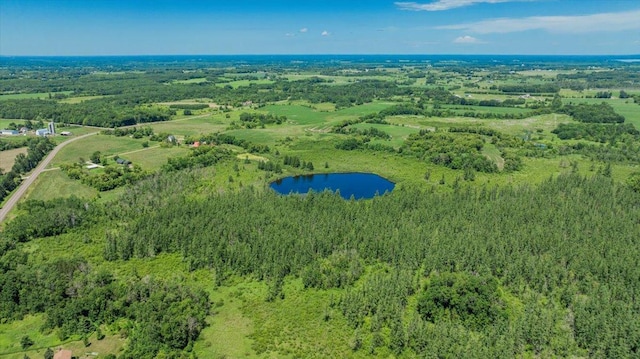 8825 Greeley Loop, Royalton Twp, MN 55006 - aerial overview of property's location featuring a forest and a large body of water