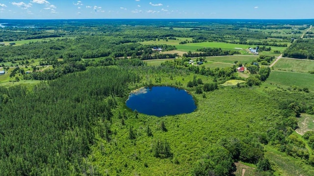 8825 Greeley Loop, Royalton Twp, MN 55006 - aerial view of property and surrounding area with a nearby body of water and a forest