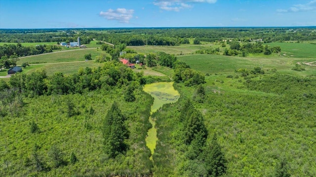 8825 Greeley Loop, Royalton Twp, MN 55006 - aerial view of property's location with rural landscape and a forest