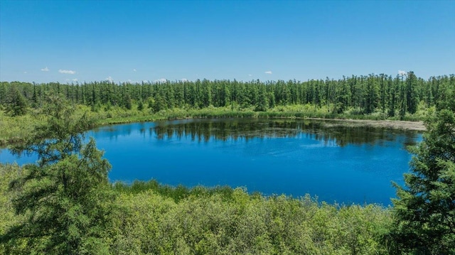 8825 Greeley Loop, Royalton Twp, MN 55006 - water view with a heavily wooded area