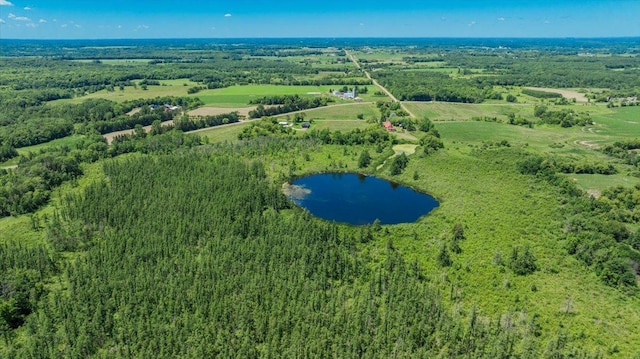 8825 Greeley Loop, Royalton Twp, MN 55006 - view of property location featuring a nearby body of water and a forest