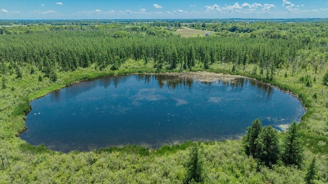 8825 Greeley Loop, Royalton Twp, MN 55006 - bird's eye view of a nearby body of water and a forest