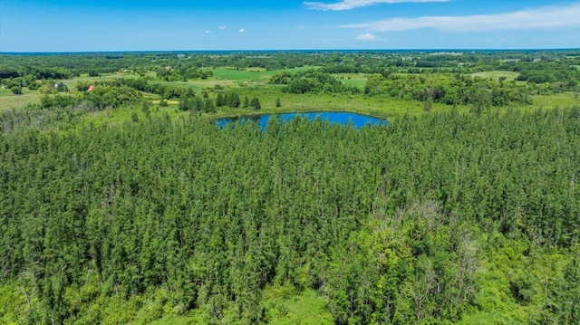 8825 Greeley Loop, Royalton Twp, MN 55006 - bird's eye view of a nearby body of water and a forest