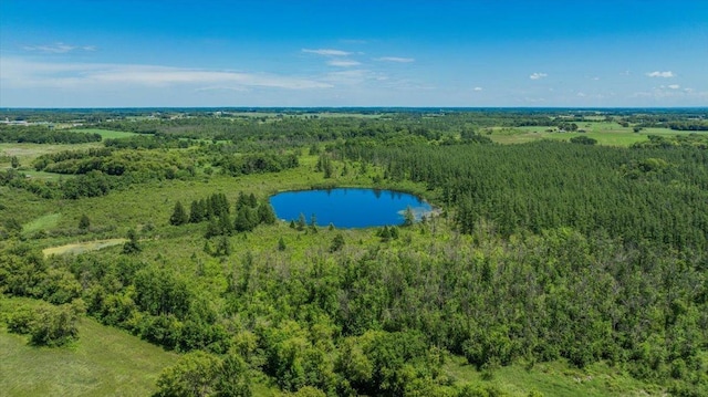 8825 Greeley Loop, Royalton Twp, MN 55006 - drone / aerial view of a nearby body of water and a heavily wooded area