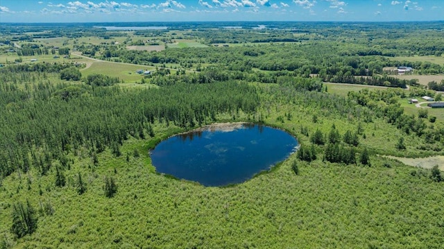 8825 Greeley Loop, Royalton Twp, MN 55006 - drone / aerial view of a nearby body of water and a forest