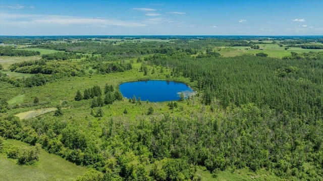 8825 Greeley Loop, Royalton Twp, MN 55006 - drone / aerial view of a heavily wooded area and a large body of water