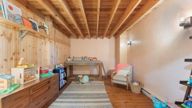 8825 Greeley Loop, Royalton Twp, MN 55006 - below grade area with wood finished floors and wood ceiling